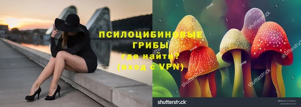 каннабис Богданович