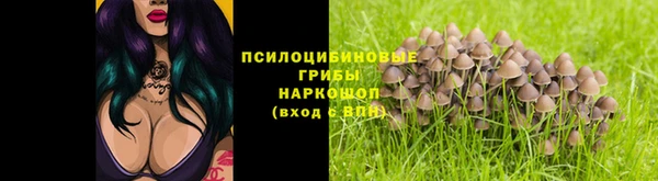 каннабис Богданович