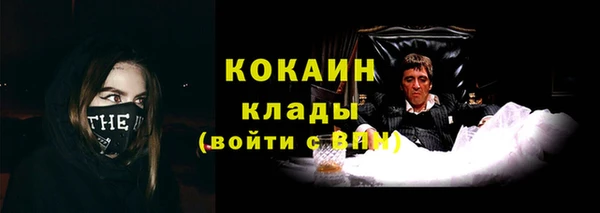 mix Богородск