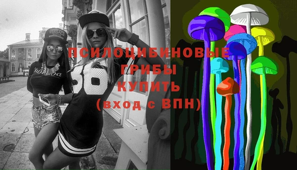 mix Богородск